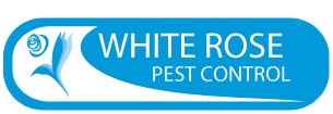 White Rose Pest Control